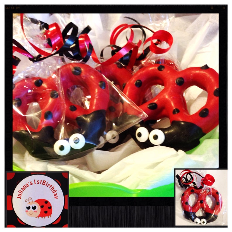 Animal Chocolate Covered Pretzels: Ladybug, Cow, Bee - Set of 12